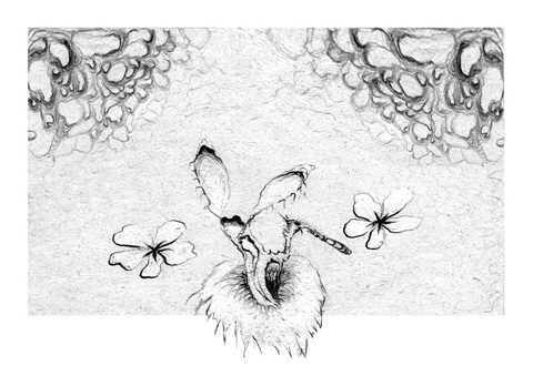 Grafika 16 - 1985-98/2000 - 28,3x20cm